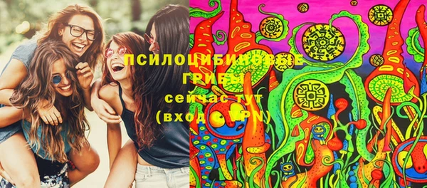 прущая мука Армянск