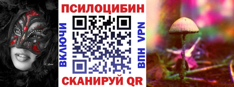 закладки  мега tor  Псилоцибиновые грибы ЛСД  Долгопрудный 